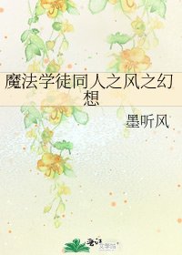 魔法学徒同人之风之幻想