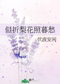 《但折梨花照暮愁》