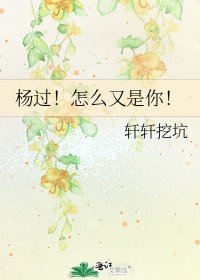 《楊過!怎麼又是你!》