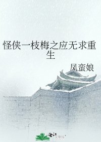 怪俠一枝梅之應無求重生