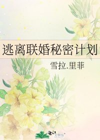 《逃離聯婚秘密計劃》