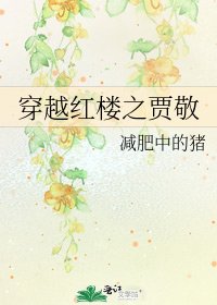 《穿越紅樓之賈敬》