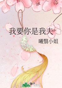 《我要你是我夫》