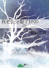 《我老公分裂了1000次》