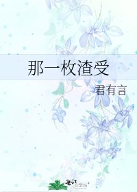 那一枚渣受