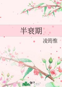 《半衰期》