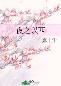 《夜之以西》