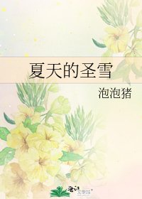 《夏天的聖雪》