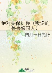 《絕對要保護你(叛逆的魯魯修同人)》