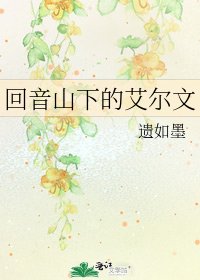 《迴音山下的艾爾文》
