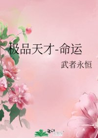 《極品天才-命運》