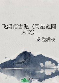 《飛鴻踏雪泥(周星馳同人文)》