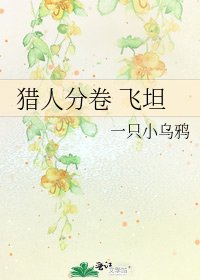 《獵人分卷 飛坦》