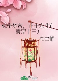 《魂牽夢縈,止於永生(清穿十三)》