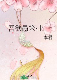《吾欲愚笨·上》