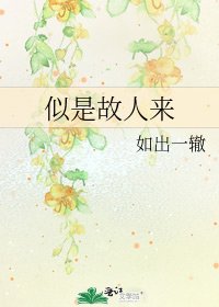 《似是故人來》