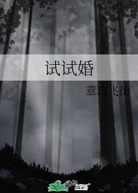 《試試婚》