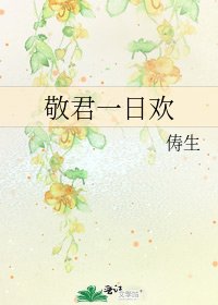敬君一日欢