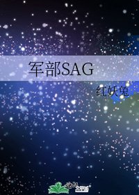 《軍部SAG》