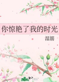 《你驚豔了我的時光》
