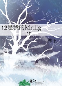 《他是我的Mr.light》