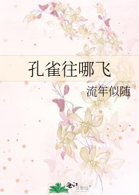 《孔雀往哪飛》