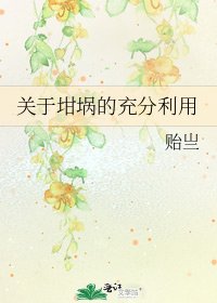 《關於坩堝的充分利用》