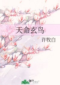 《天命玄鳥》