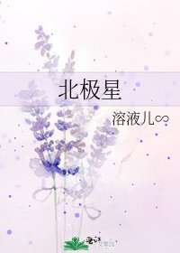 北極星