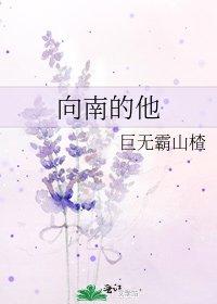 《向南的他》