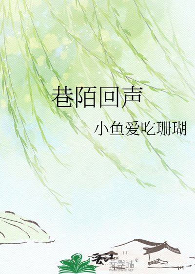 《巷陌回聲》