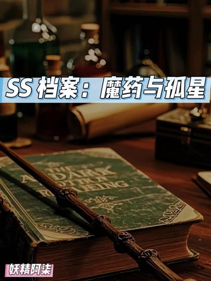 SS檔案:魔藥與孤星