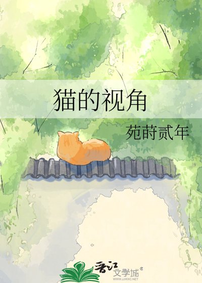 《貓的視角》