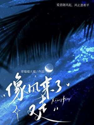 像风来了又走