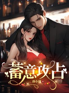 蓄意攻占