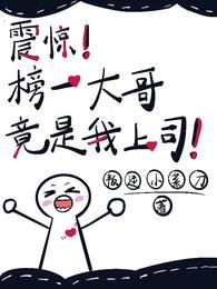 《震驚!榜一大哥竟是我上司!》