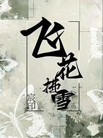 《飛花拂雪》