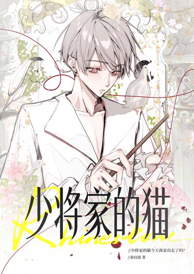 《少將家的貓今天離家出走了嗎》