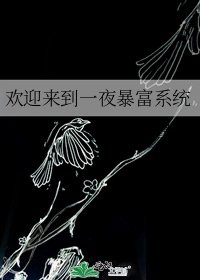 歡迎來到一夜暴富系統