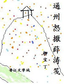 通州怒撒薛涛笺