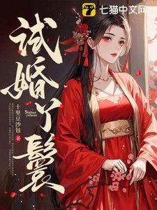 《試婚丫鬟》
