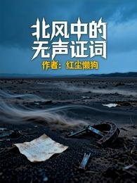 《北風中的無聲證詞》