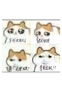 穿到虫族文,但是奇美拉蚁版