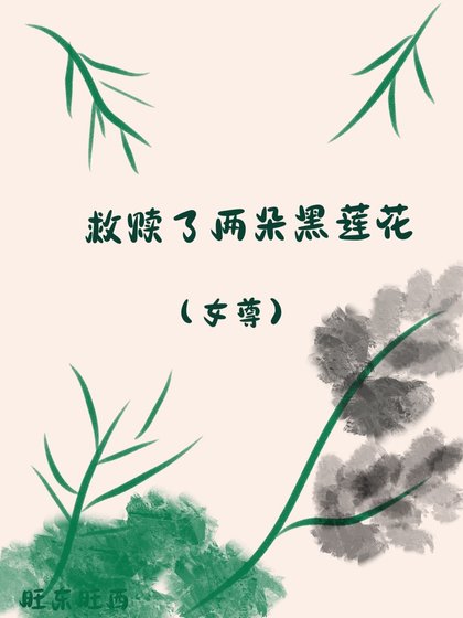 救赎了两朵黑莲花(女尊)