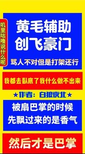 《黃毛輔助,創飛豪門》