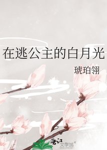 《在逃公主的白月光》