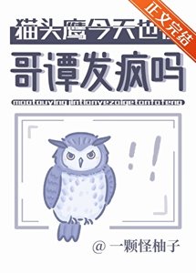(综英美同人)猫头鹰今天也在哥谭发疯吗