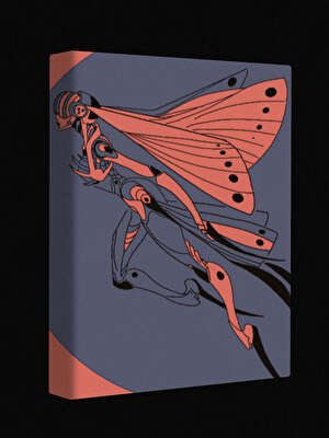 拉爾曼郡的魔女