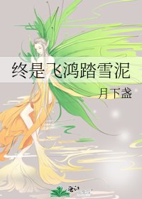 《終是飛鴻踏雪泥》