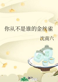 《你從不是誰的金絲雀》